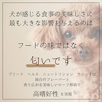 ロイヤルカナン プードル　ローフタイプ Amazon | 【5袋セット】ロイヤルカナン プードル ローフ 成犬